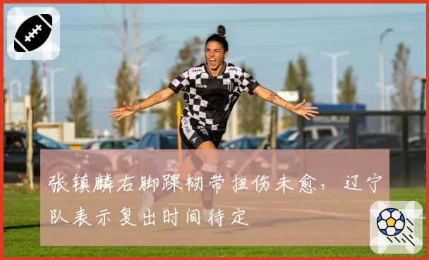 张镇麟右脚踝韧带扭伤未愈,辽宁队表示复出时间待定