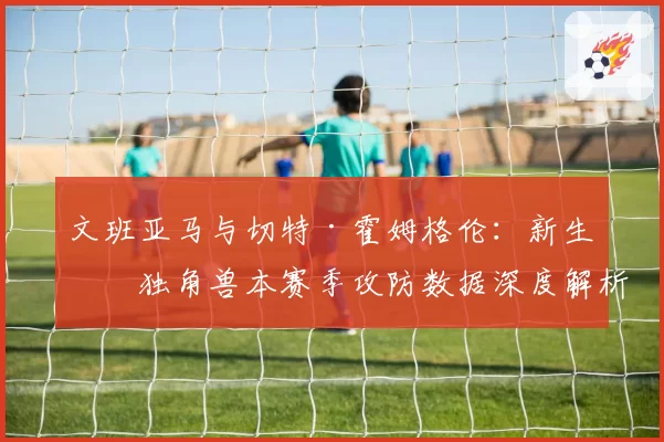 文班亚马与切特·霍姆格伦：新生代独角兽本赛季攻防数据深度解析