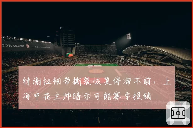 特谢拉韧带撕裂恢复停滞不前，上海申花主帅暗示可能赛季报销