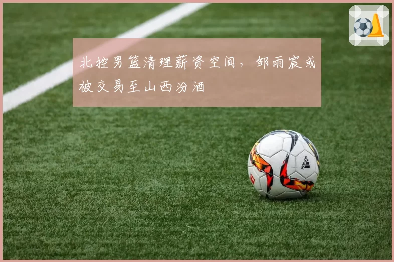 北控男篮清理薪资空间，邹雨宸或被交易至山西汾酒