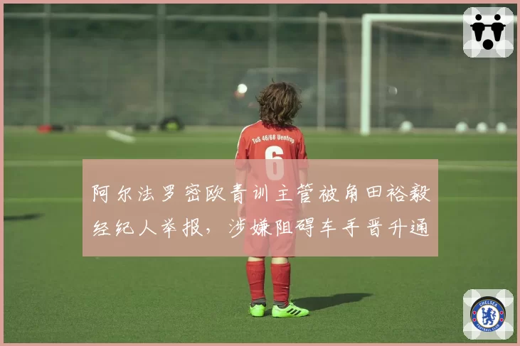 阿尔法罗密欧青训主管被角田裕毅经纪人举报，涉嫌阻碍车手晋升通道