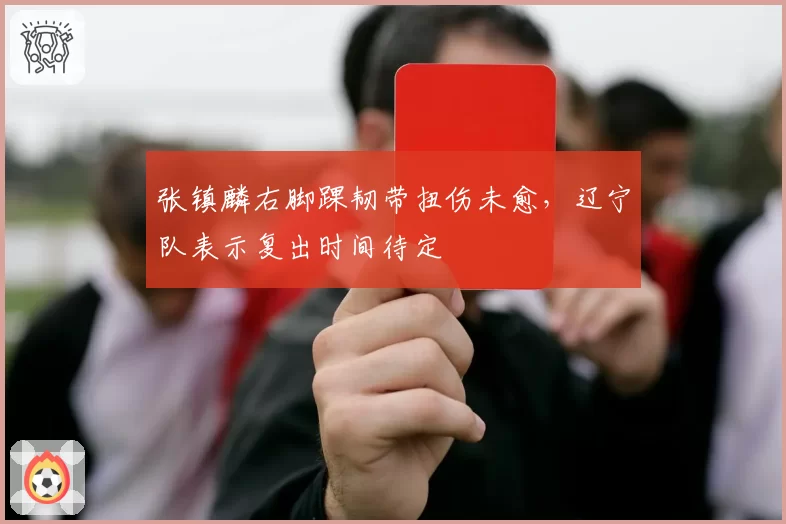 张镇麟右脚踝韧带扭伤未愈,辽宁队表示复出时间待定