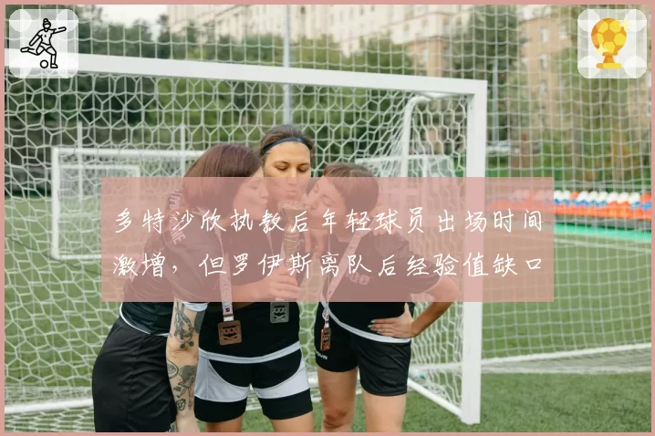 多特沙欣执教后年轻球员出场时间激增，但罗伊斯离队后经验值缺口致关键战胜率跌至四成
